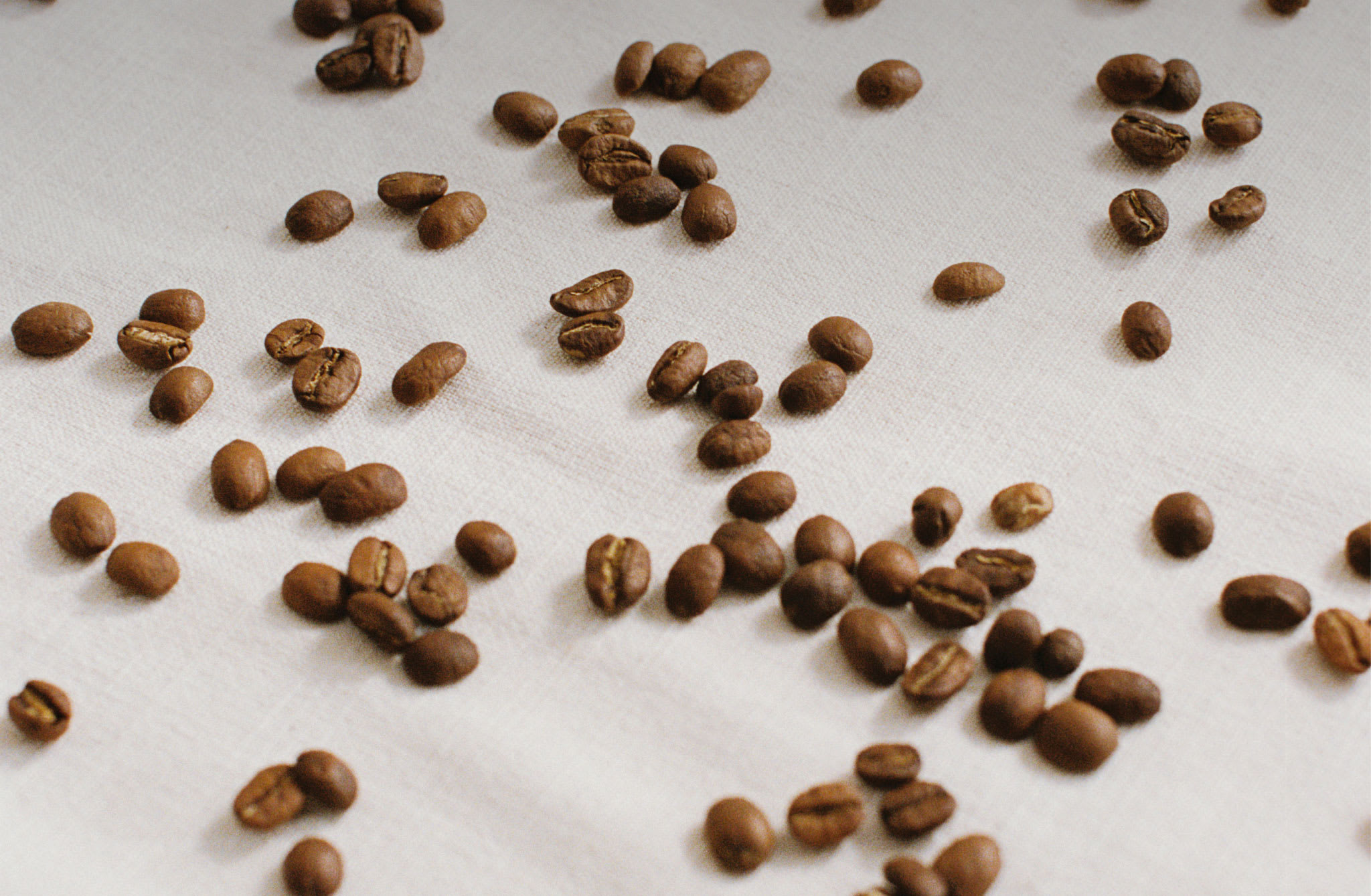 Para preparar un buen café te aconsejamos utilizar agua filtrada y grano fresco tostado