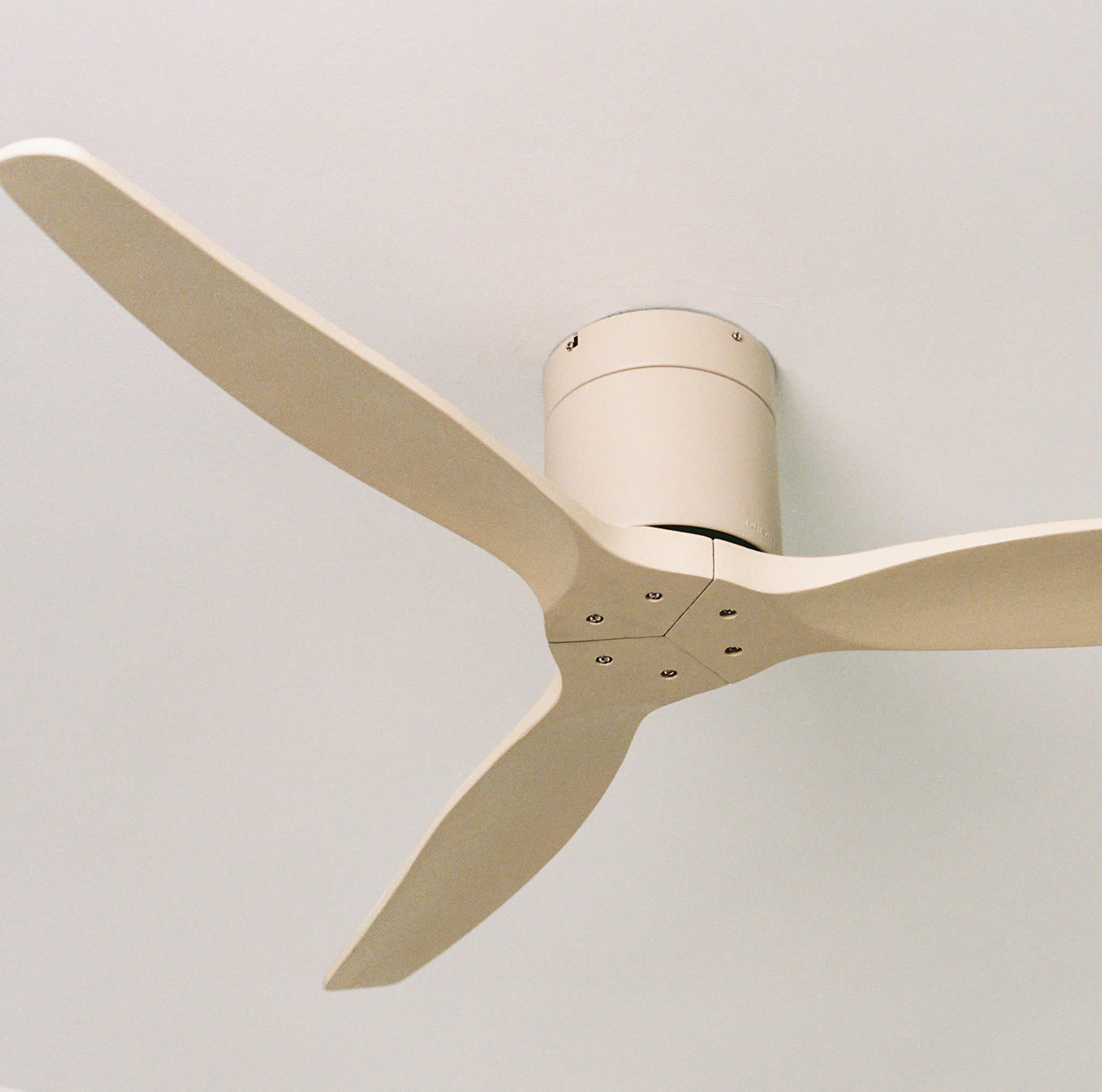 WIND CALM - Ventilador de techo 40W silencioso con aspas de ABS técnico varios tamaños