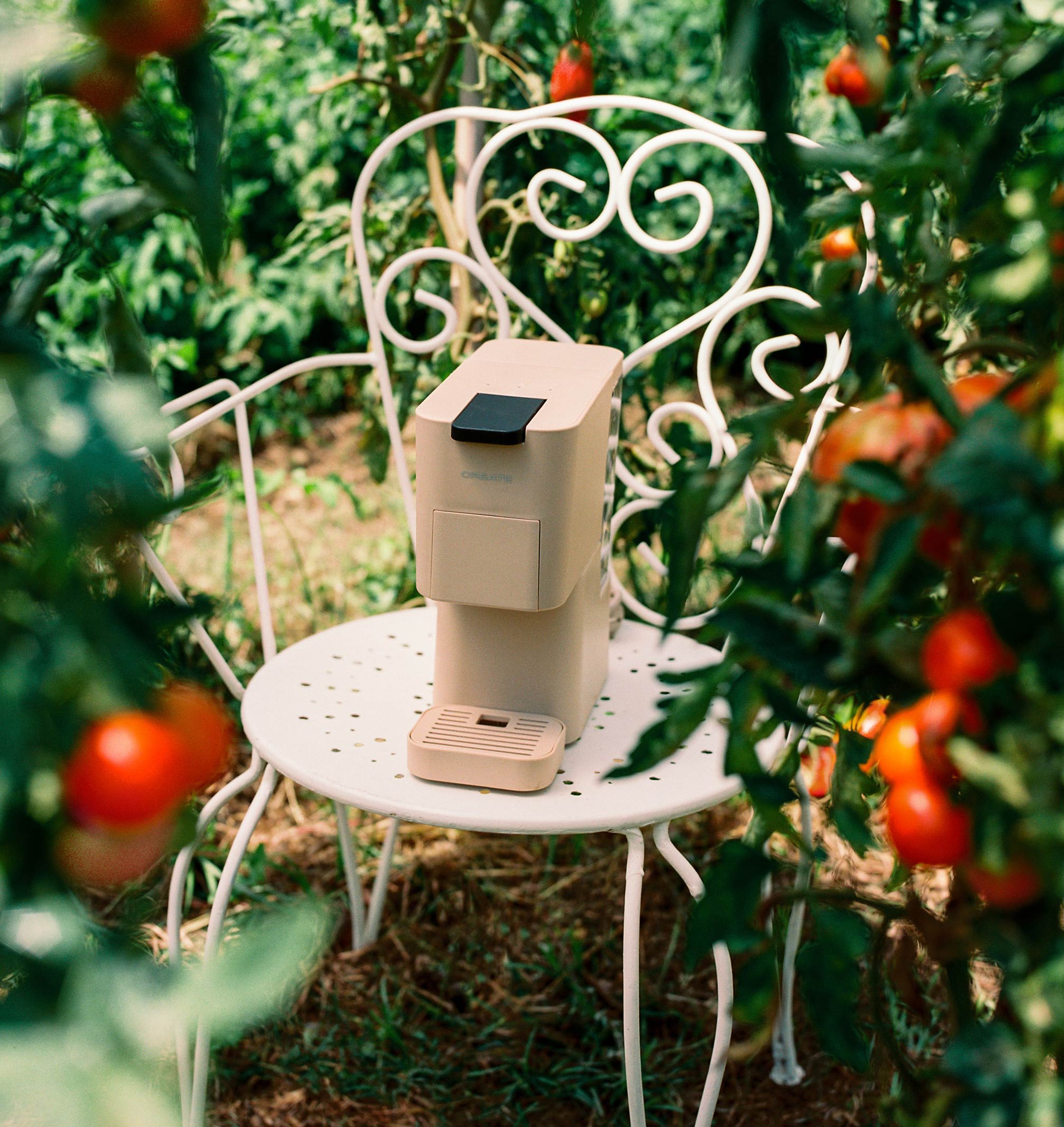 THERA STUDIO - Cafetera multicápsula express y café molido