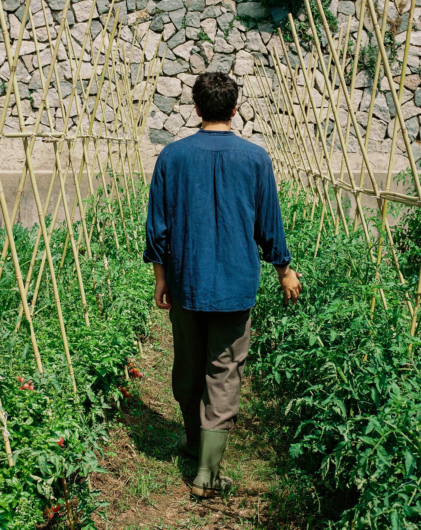 AIR FRYER STUDIO CRYSTAL - Freidora de aire de cristal 4.2L con vaporizador opcional