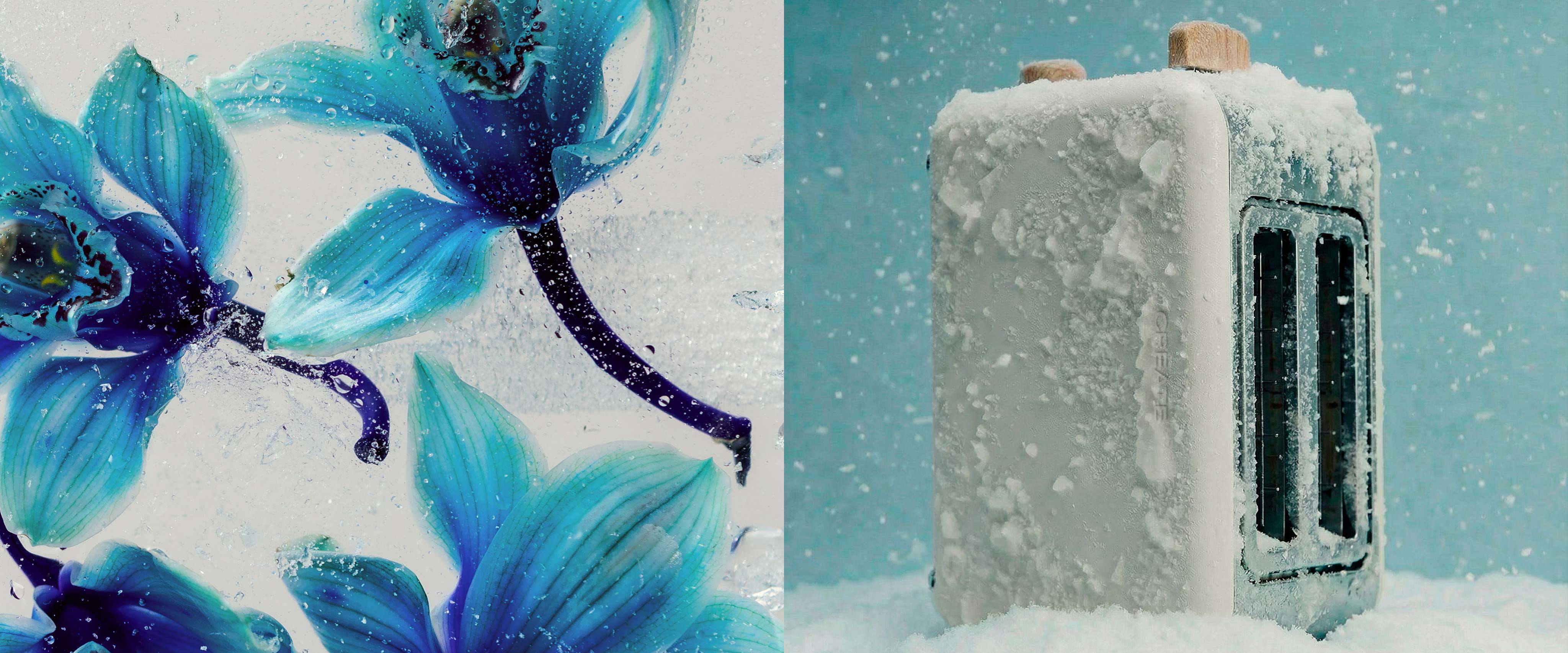 Reflections of winter