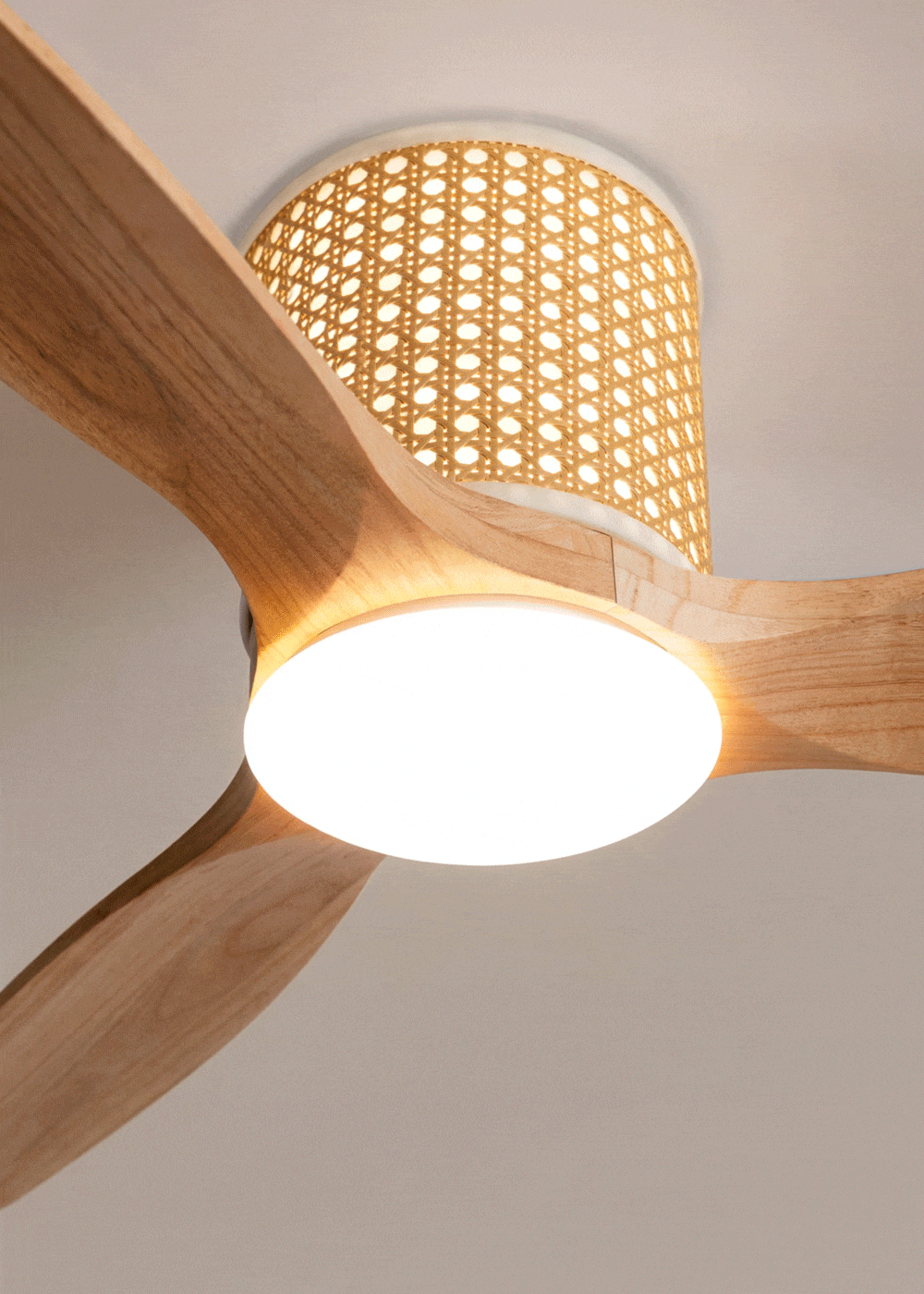 WIND CALM RATTAN - Ventilateur de plafond 40W silencieux Ø132 cm avec éclairage LED dans le corps et la lampe