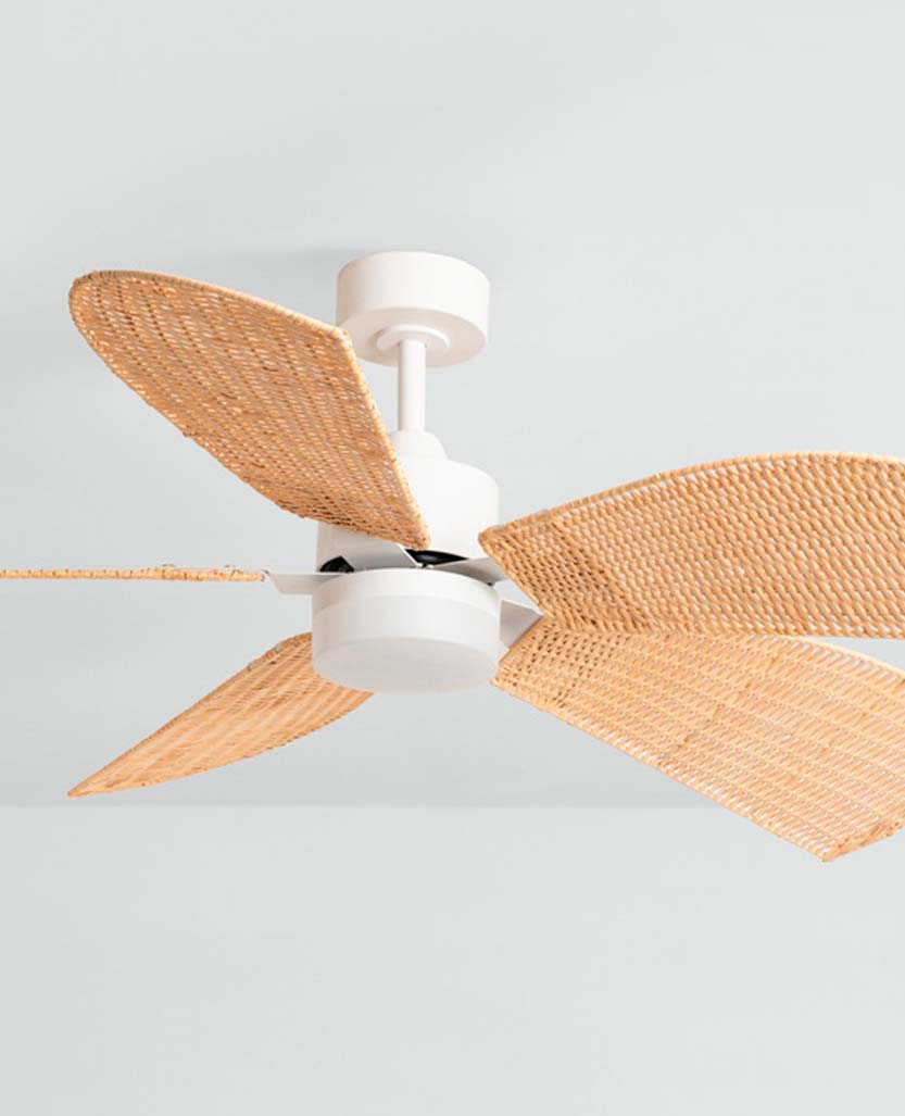 Ceiling fans sales