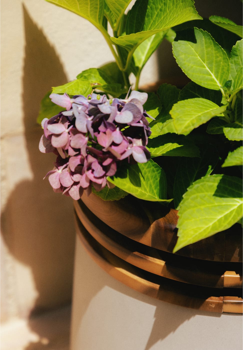 Conjunto de 3 Floreiras em Betão e Madeira de Acácia Hazan