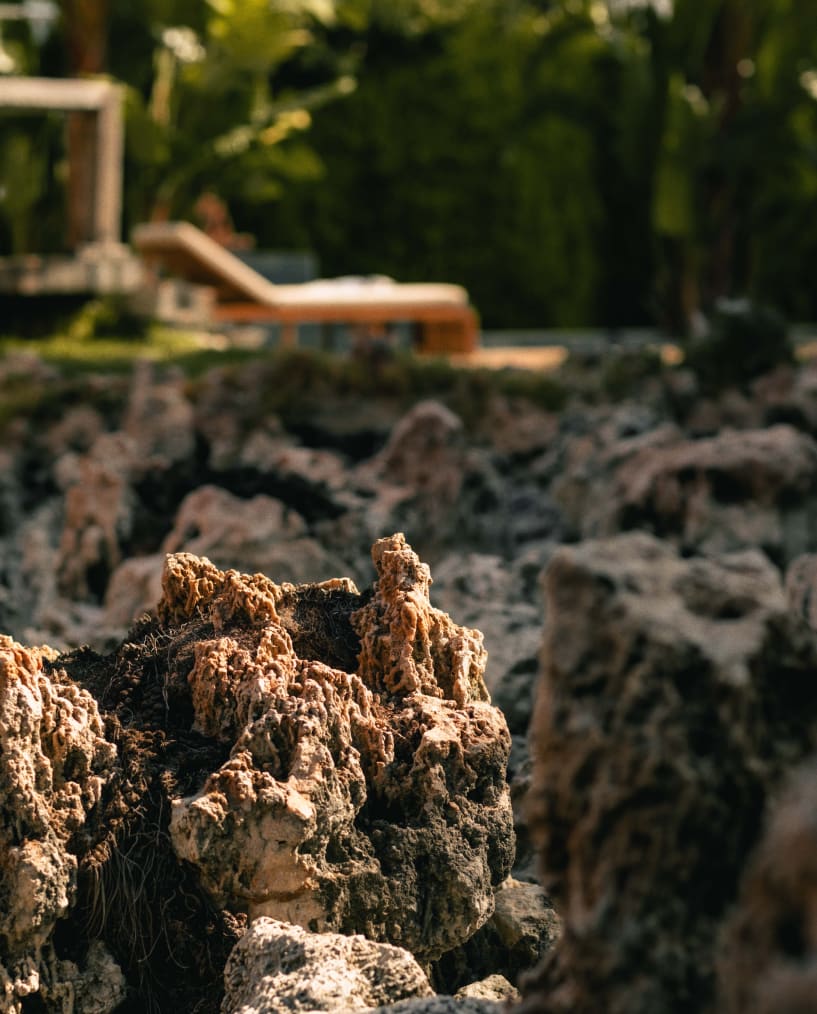 Set de Espreguiçadeira e Mesa Lateral de Madeira de Acácia (45x45 cm) Hazan