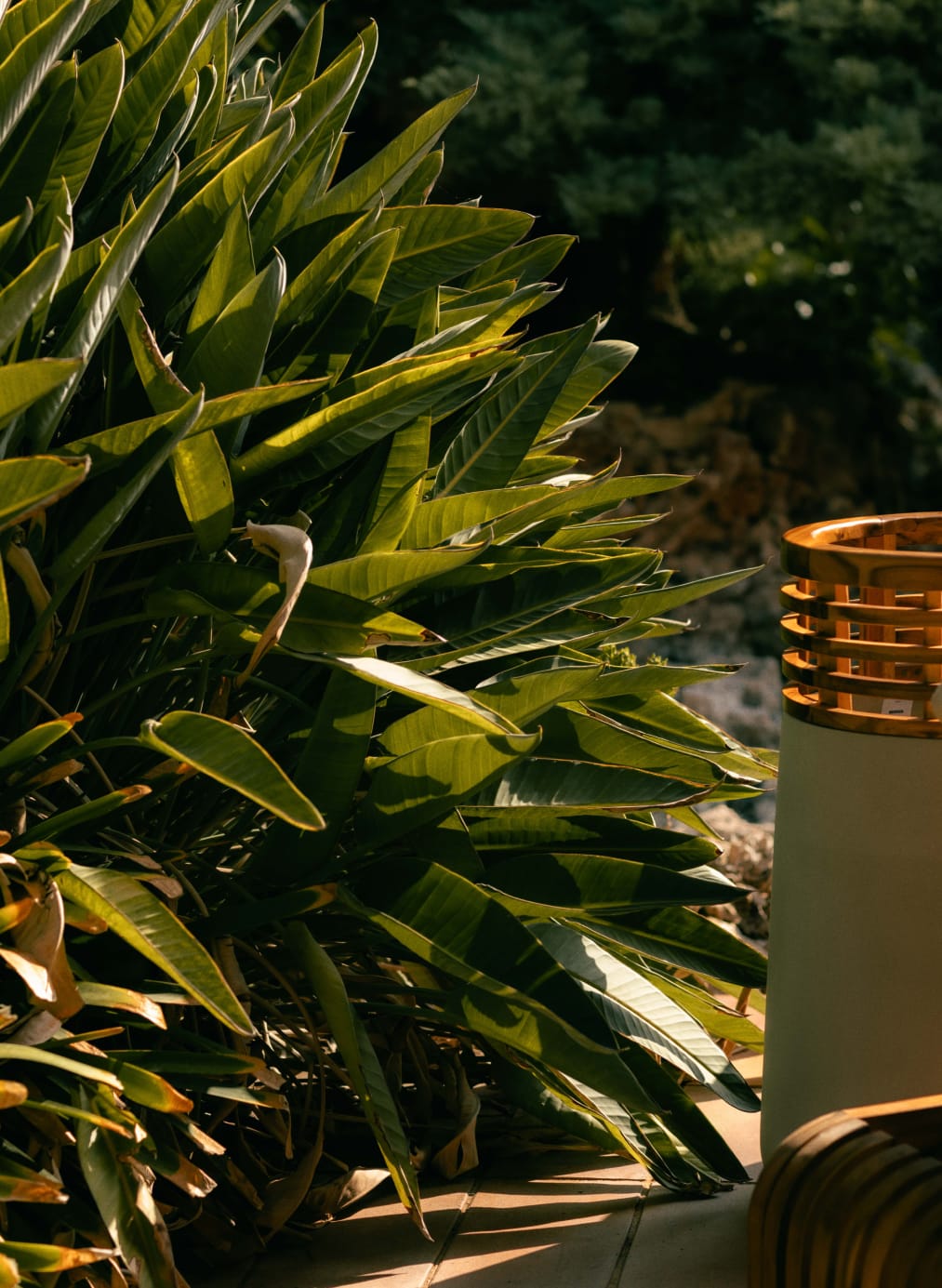 Set of 3 Acacia Concrete and Wooden Planters Hazan