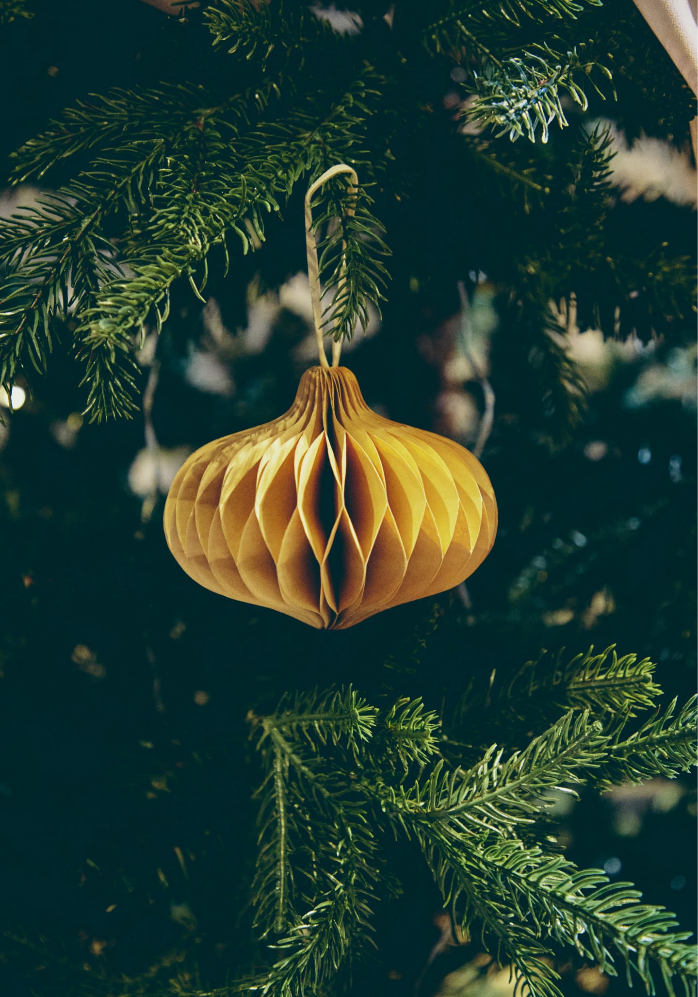 Set of 6 Decorative Craft Offset Wreaths Gino