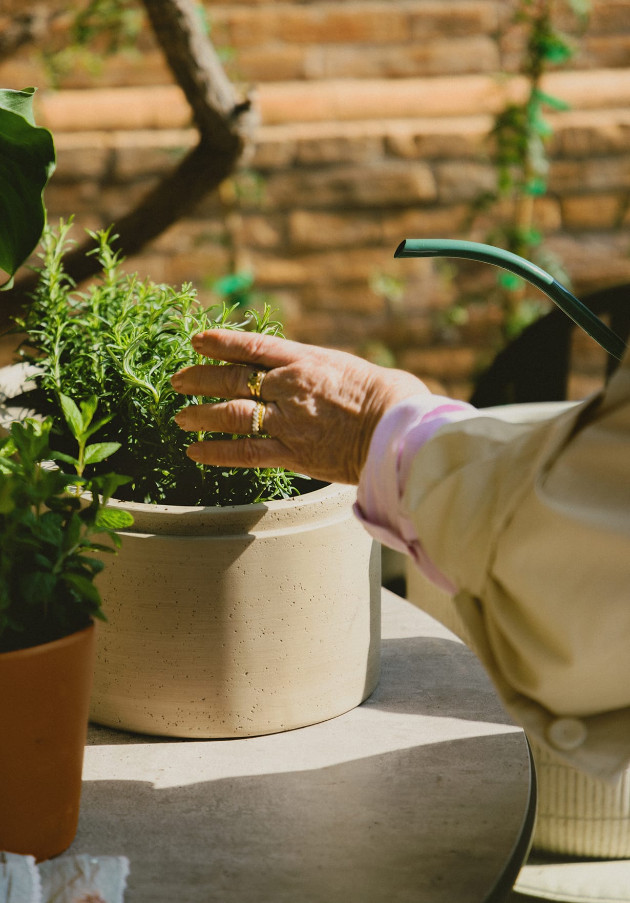 Macetero Ovalado de Cemento (45x23 cm) Bieito