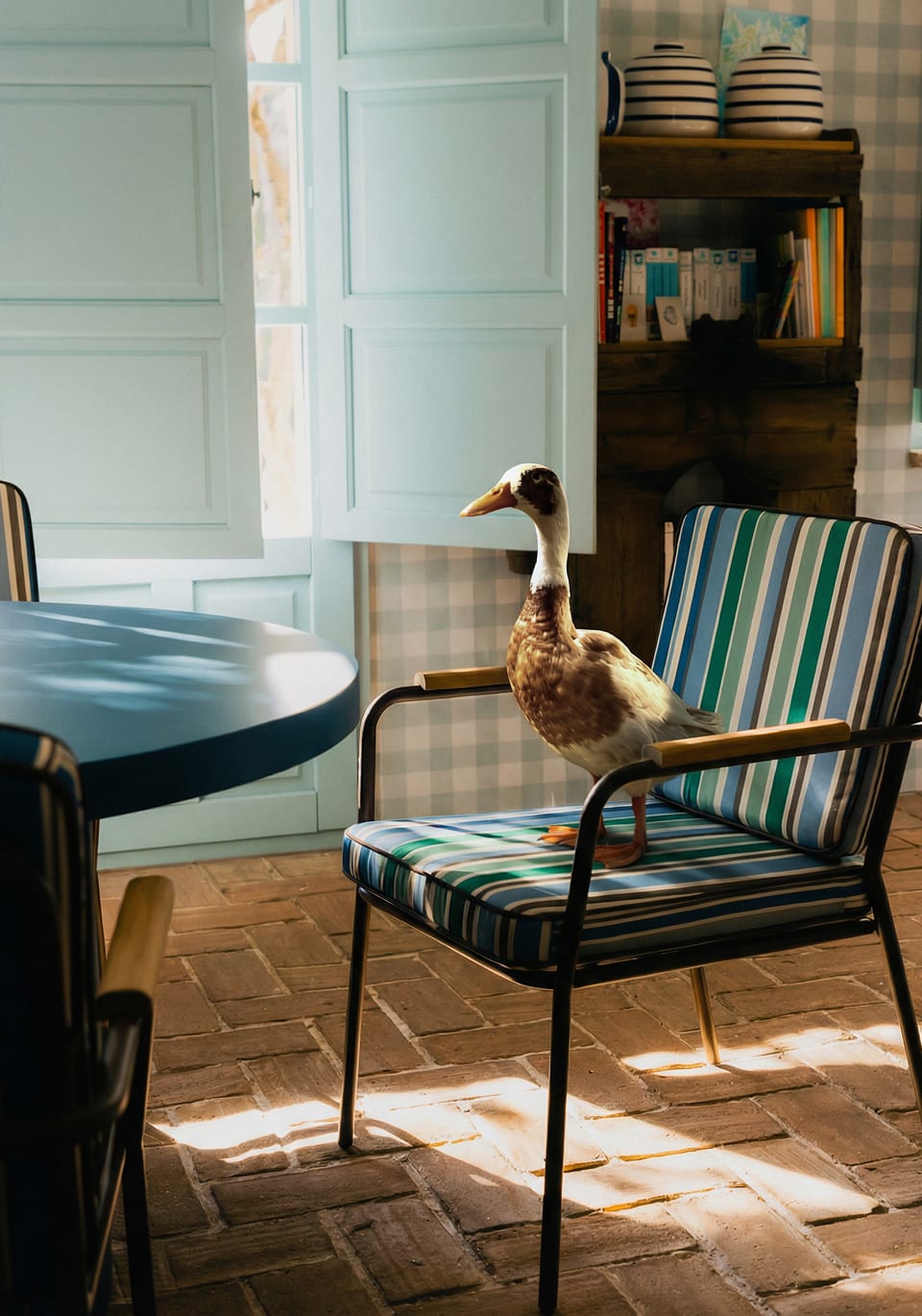 Silla de Comedor de Metal y Tela Edimbra