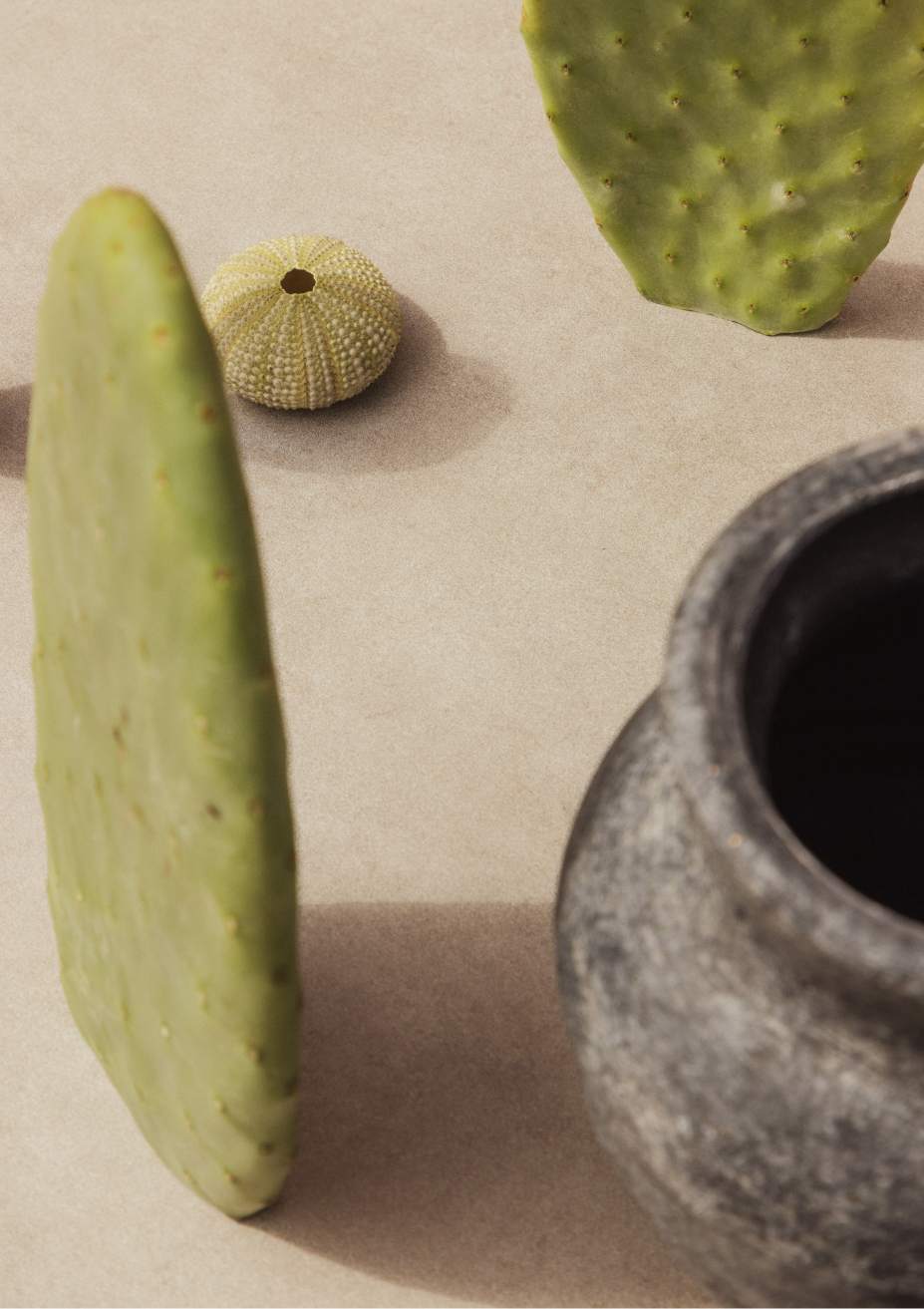 Ein Ort, an dem die Zeit stillsteht und das Wesentliche Bedeutung bekommt. Unsere Kampagne basiert auf dieser Idee: Räume zu schaffen, die zum Wohlfühlen, zur Begegnung und zur Pause einladen.