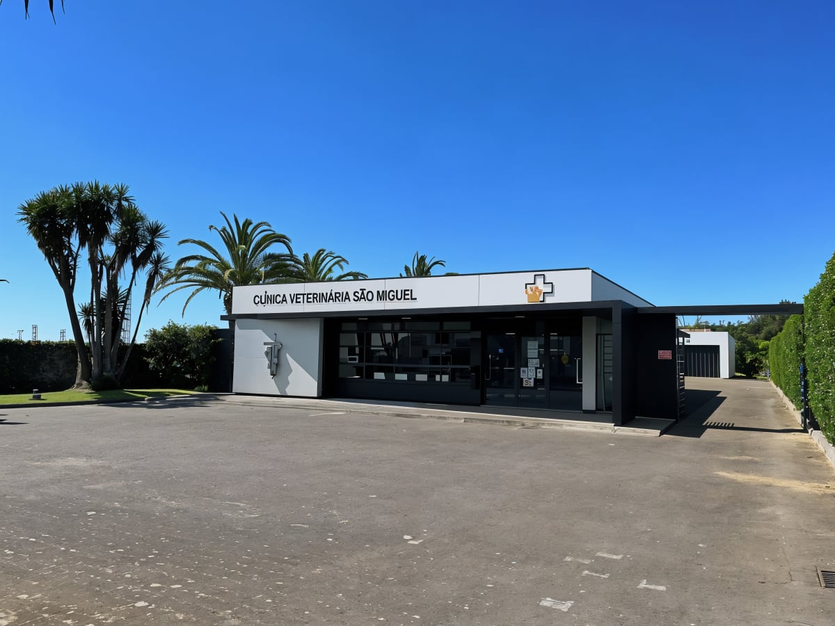 Clínica Veterinária São Miguel