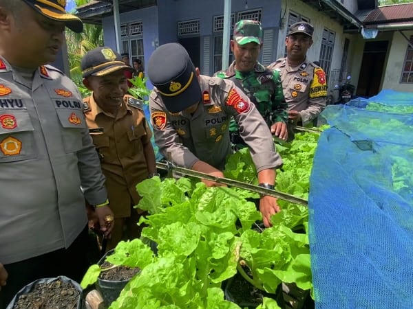 Cuplikan video dokumentasi Pekarangan Pangan Bergizi (P2B) Desa Sungai Serabek.