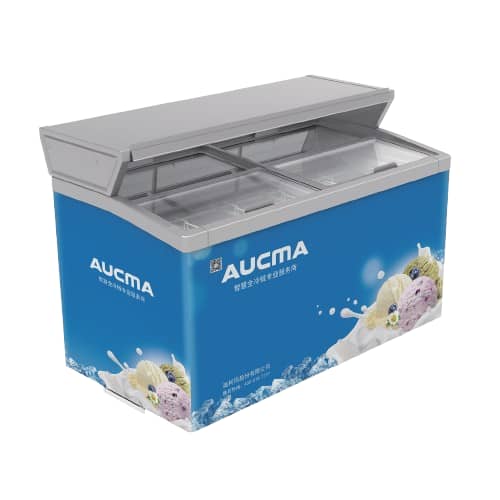 Aucma Commercial Freezer | SD-536T