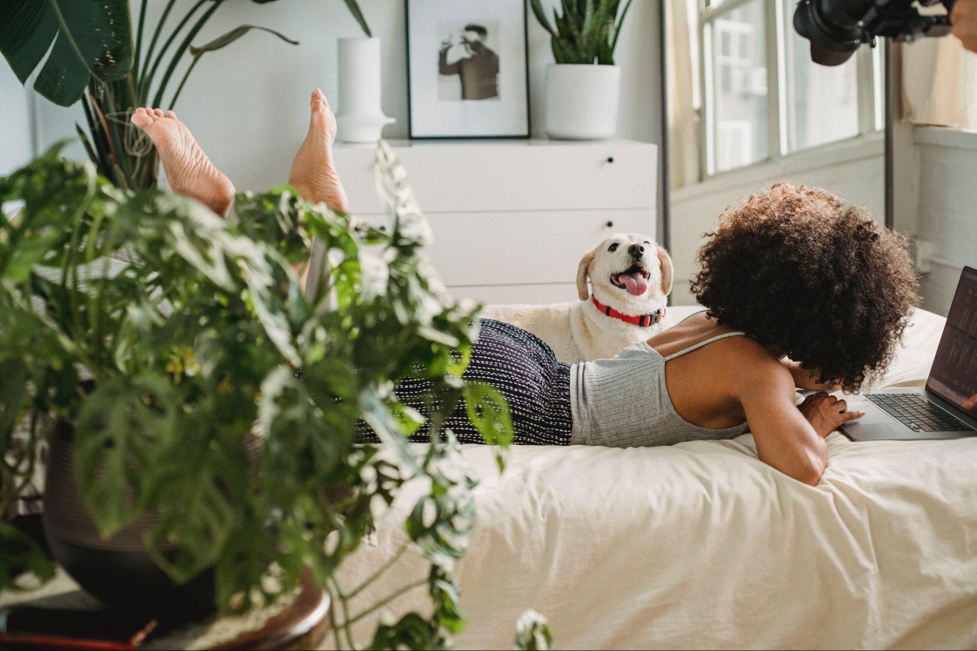 Faux Plants: A Safe and Stylish Solution for Pet-Friendly Homes