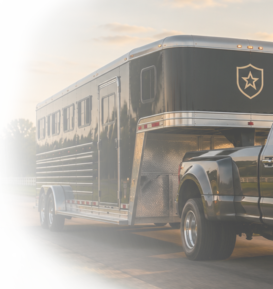 Horse trailer sale verification preview