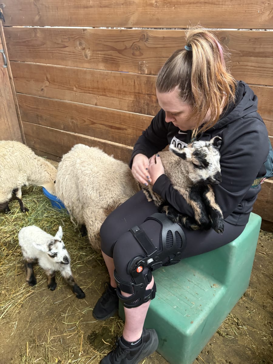 Bliss Butte Ranch lamb photograph 8