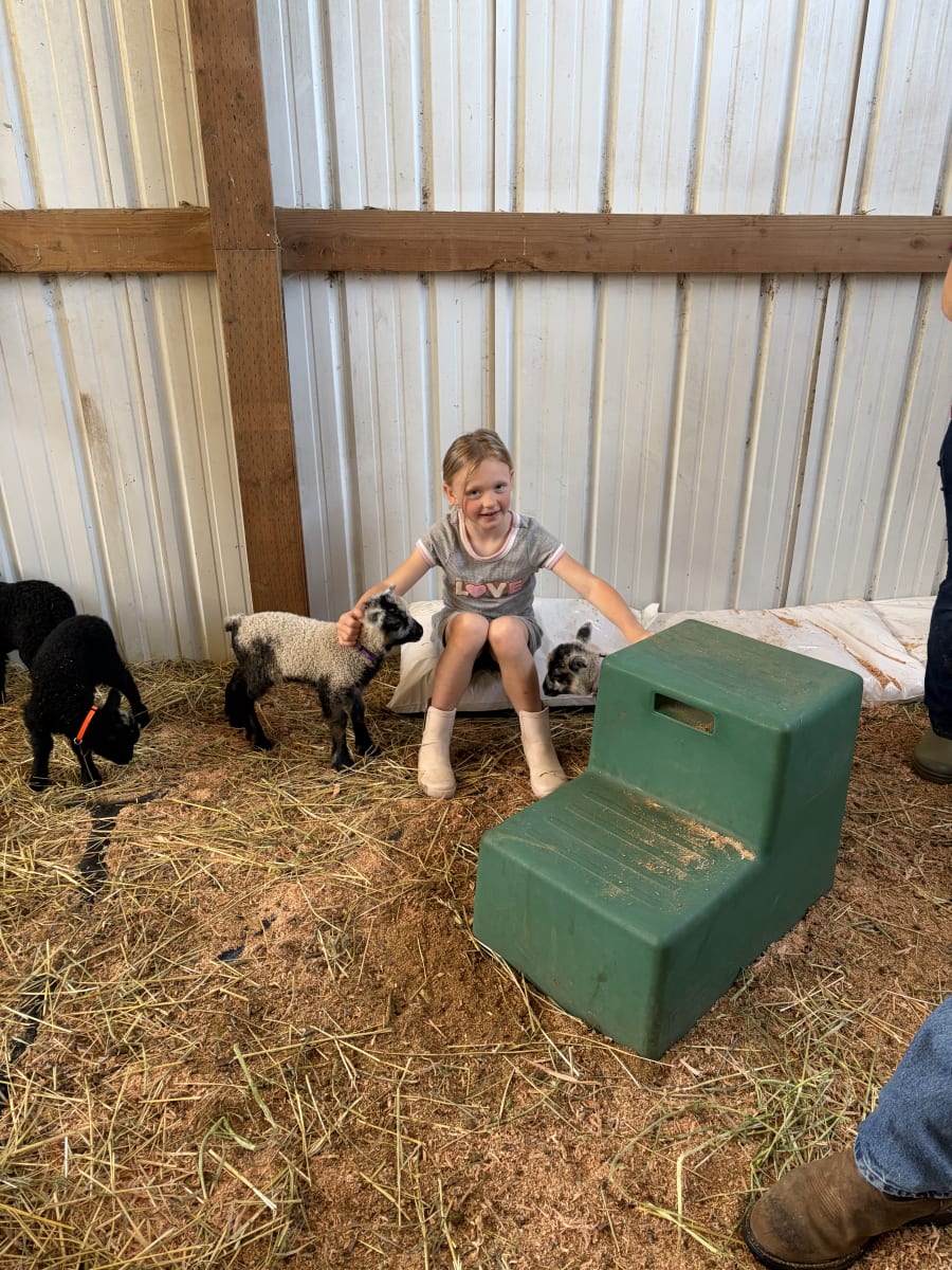Bliss Butte Ranch lamb photograph 5