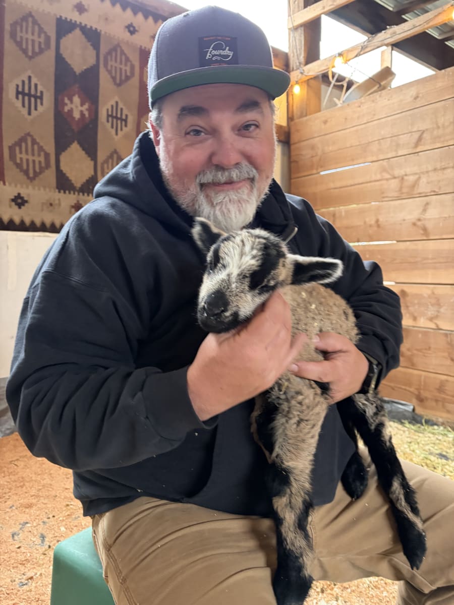 Bliss Butte Ranch lamb photograph 4