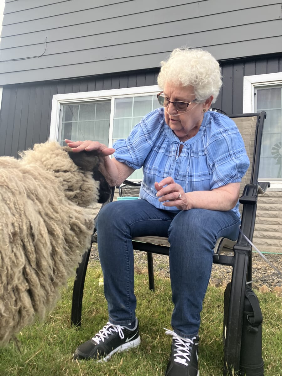 Bliss Butte Ranch lamb photograph 3