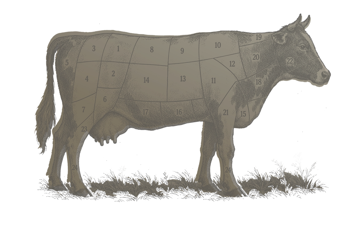 Vorfreude cow