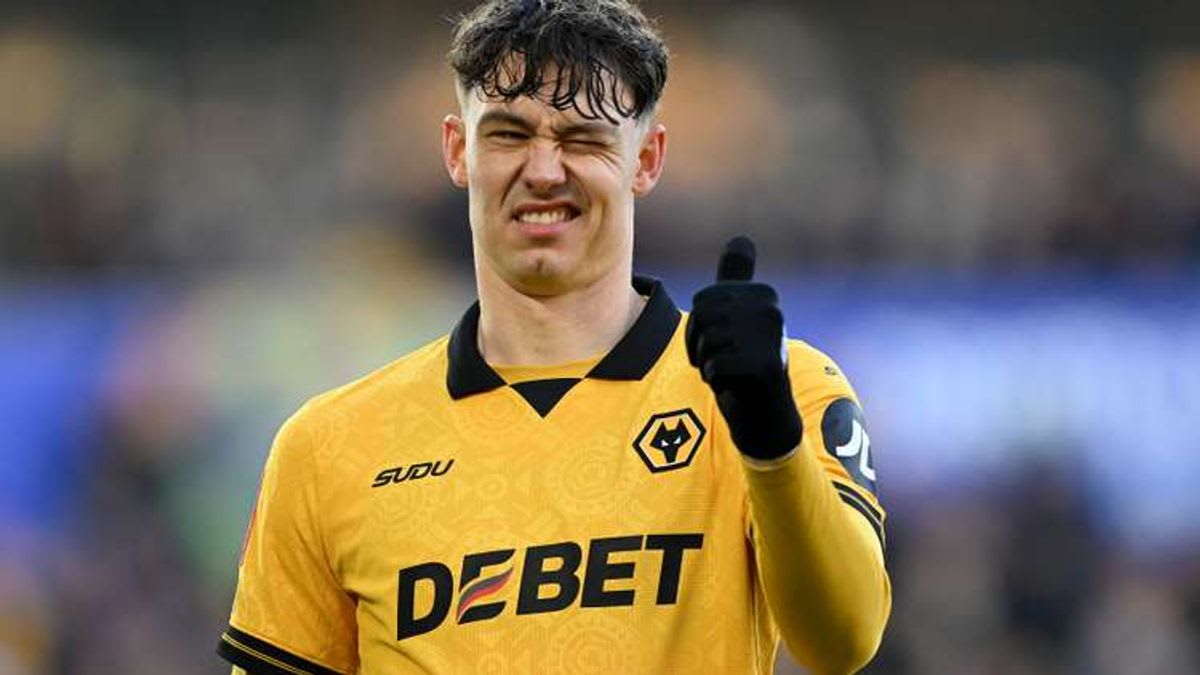 Wolverhampton Wanderers: Revitalizing the Club through Strategic Investment and Professional Management