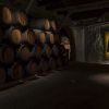 Sandeman's Cellars