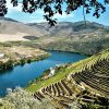 Passeio do Vale do Douro