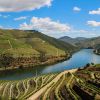 Um Dia Douro