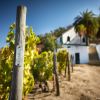 Quinta do Noval