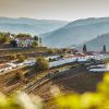 Quinta do Noval