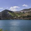 Quinta do Crasto
