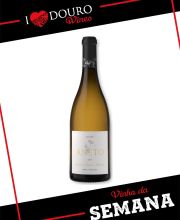 Aneto Grande Reserva Branco 2015