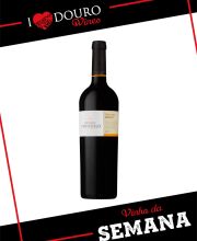 Quinta de Ventozelo Tinta Amarela e Tinta Roriz