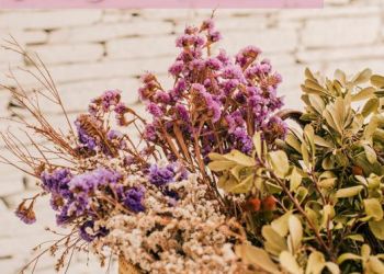 Cantina de Ventozelo, Ventozelo Hotel & Quinta