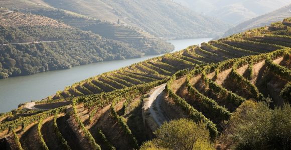 Douro All Around Wine 2023