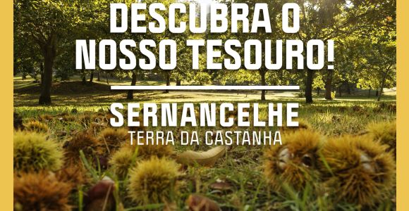 Festa da Castanha 2020 - Sernancelhe