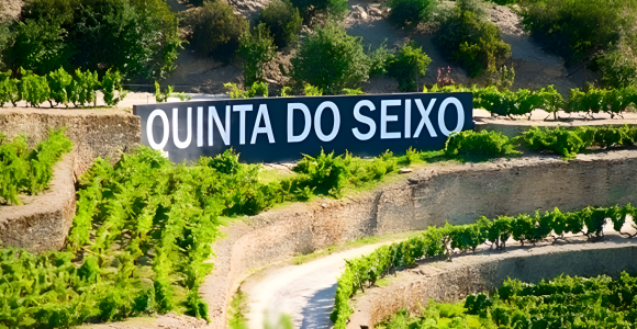 Quinta do Seixo: Um convite especial à vindima