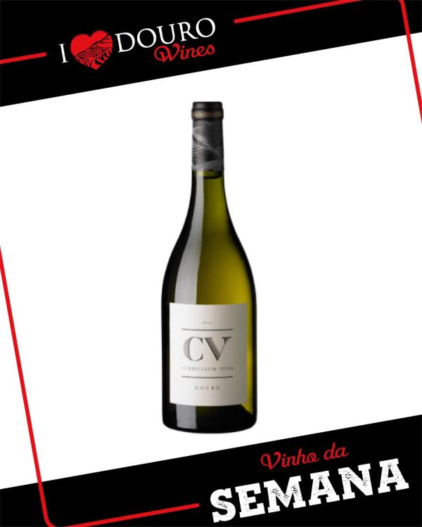 Curriculum Vitae White 2015