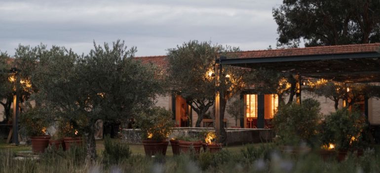 Seixo by Vasco Coelho Santos