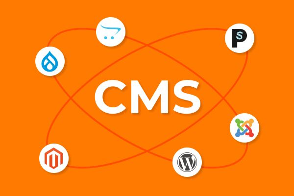Premium CMS Development Services That Grow Your Business