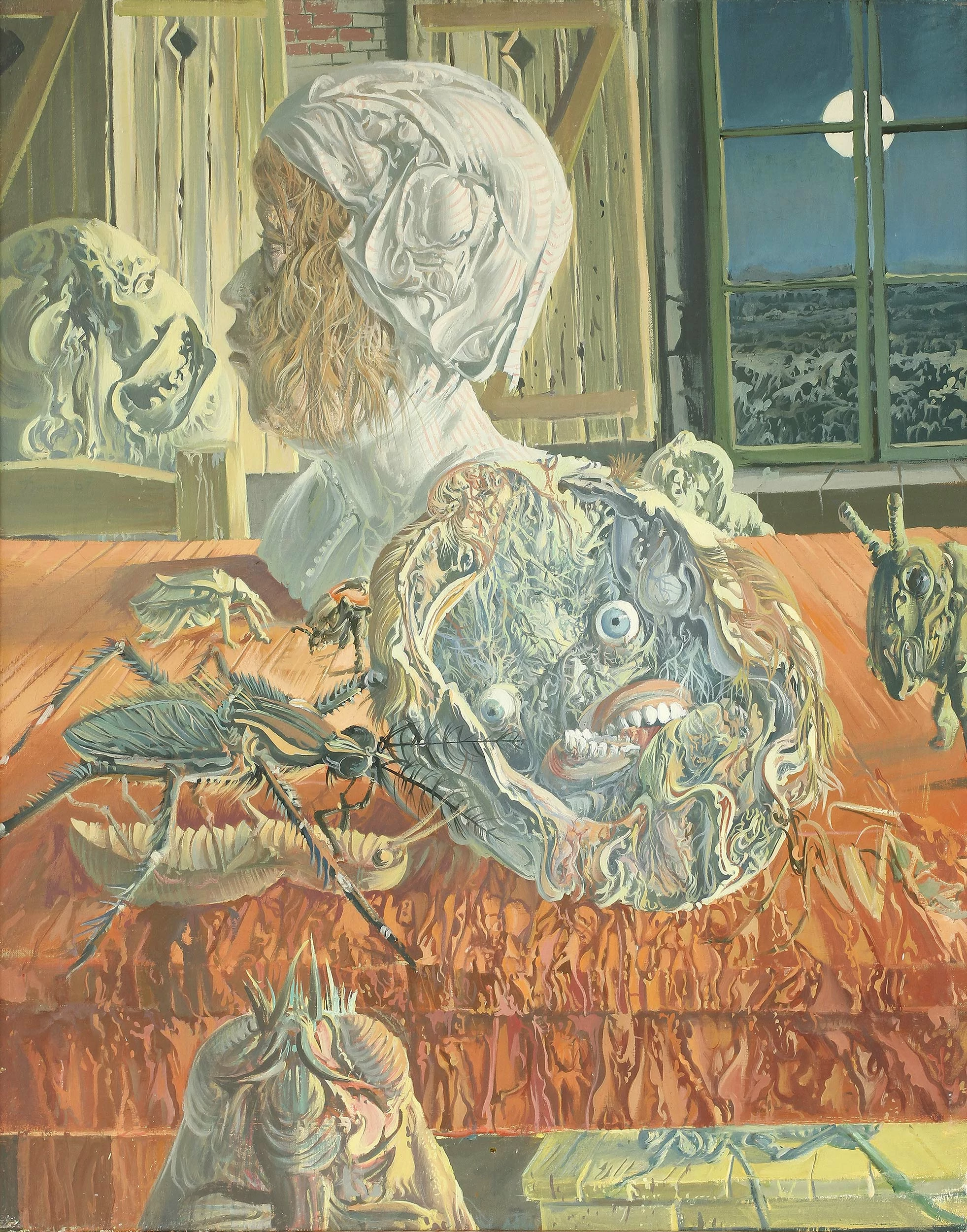 میودراک دوریچ – (دادو)