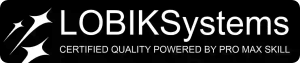 Certificado de Calidad Web por LOBIK Systems para LOBIK Systems