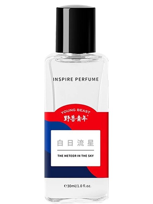 The Meteor In The Sky by Young Beast