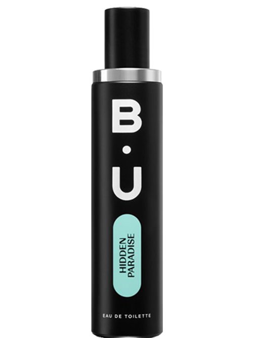 Hidden Paradise by B.U.