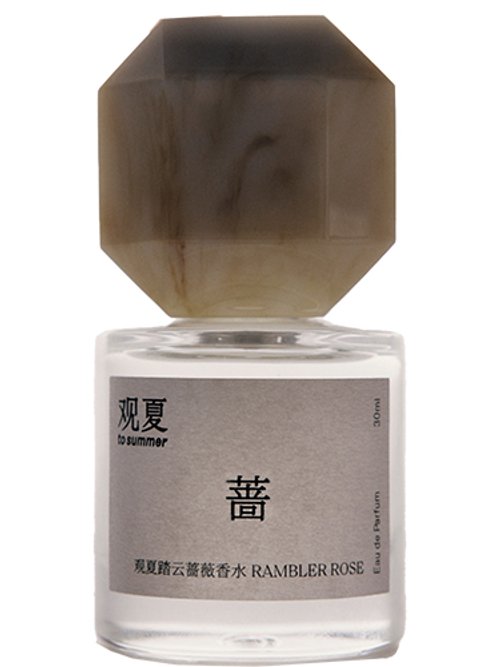 Rambler Rose by To Summer