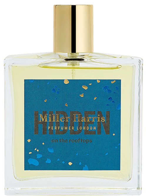 Hidden On The Rooftops by Miller Harris