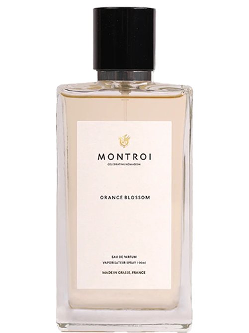 Orange Blossom by Montroi