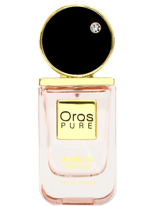 Pure Blooming Maguey by Oros