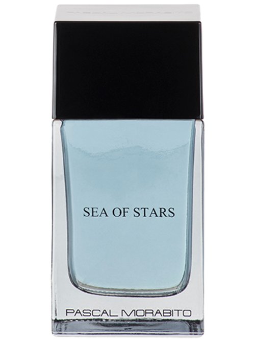 Sea Of Stars by Pascal Morabito