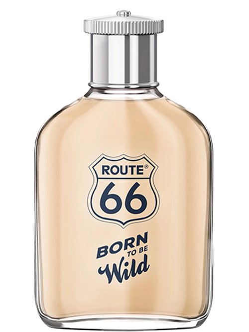 Born To Be Wild by Route 66